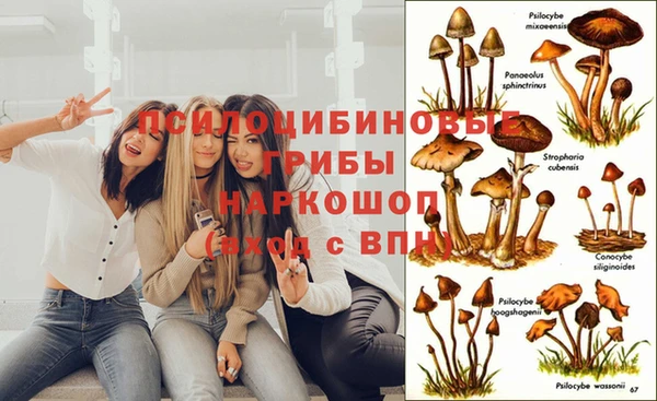 каннабис Белоозёрский