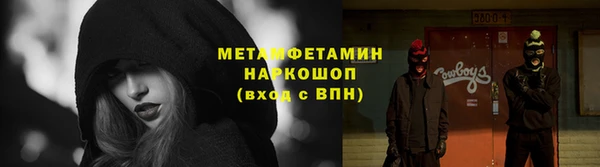 прущие грибы Покров